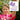 EZ Scan Classroom Run App by Fitness Finders: EZ to Reward motivational message in front of a student holding fitness awards