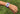 QR Slap Bands by Fitness Finders: EZ Scan QR code slap band on a wrist, student fitness awards and motivation incentives