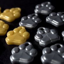 Paw Print LTD