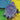 Field Day Ribbon