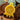 Field Day Place Ribbons