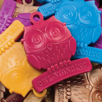 Owl-Standing by Fitness Finders: Colorful owl tokens w/ "Owlstanding" slogan, student achievement awards