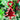 Twinkle Tree Mix