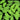 Glow Toes Toe Tokens by Fitness Finders: Glow-in-the-dark yellow Toe Tokens, student running and fitness awards incentive